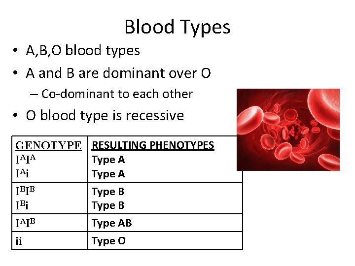 Blood Types • A, B, O blood types • A and B are dominant