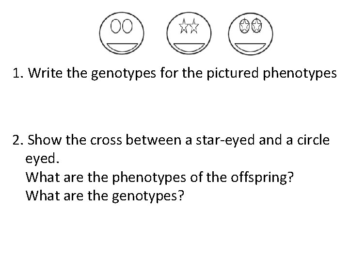 1. Write the genotypes for the pictured phenotypes 2. Show the cross between a