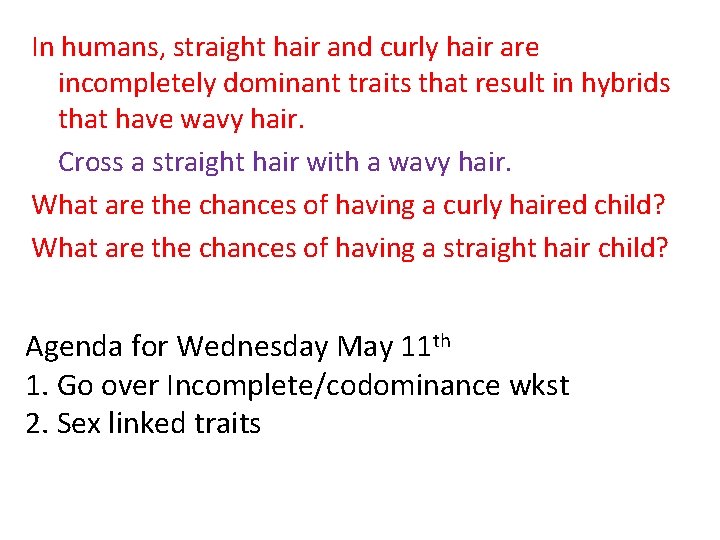 In humans, straight hair and curly hair are incompletely dominant traits that result in