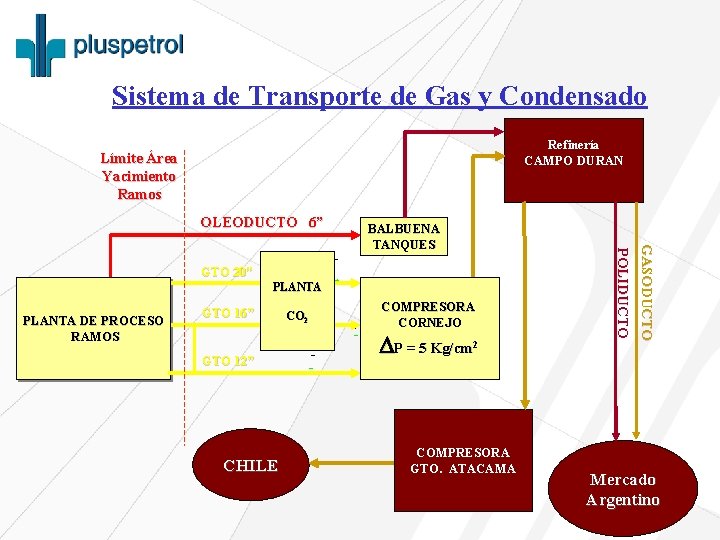 Sistema de Transporte de Gas y Condensado Refinería CAMPO DURAN Límite Área Yacimiento Ramos