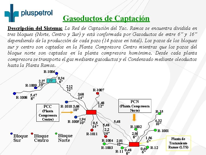 Gasoductos de Captación Descripción del Sistema: La Red de Captación del Yac. Ramos se