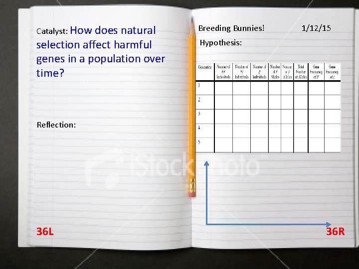 Catalyst: How does natural selection affect harmful genes in a population over time? Breeding