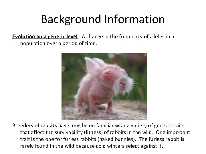 Background Information Evolution on a genetic level: A change in the frequency of alleles