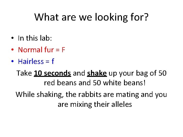 What are we looking for? • In this lab: • Normal fur = F