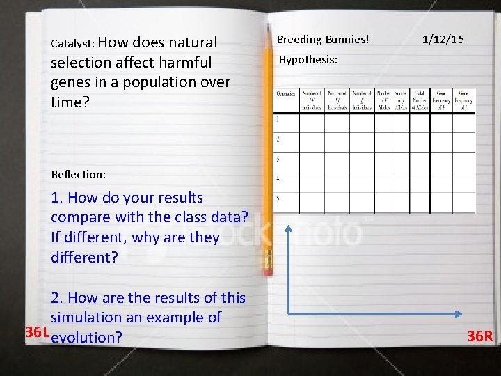 Catalyst: How does natural selection affect harmful genes in a population over time? Breeding