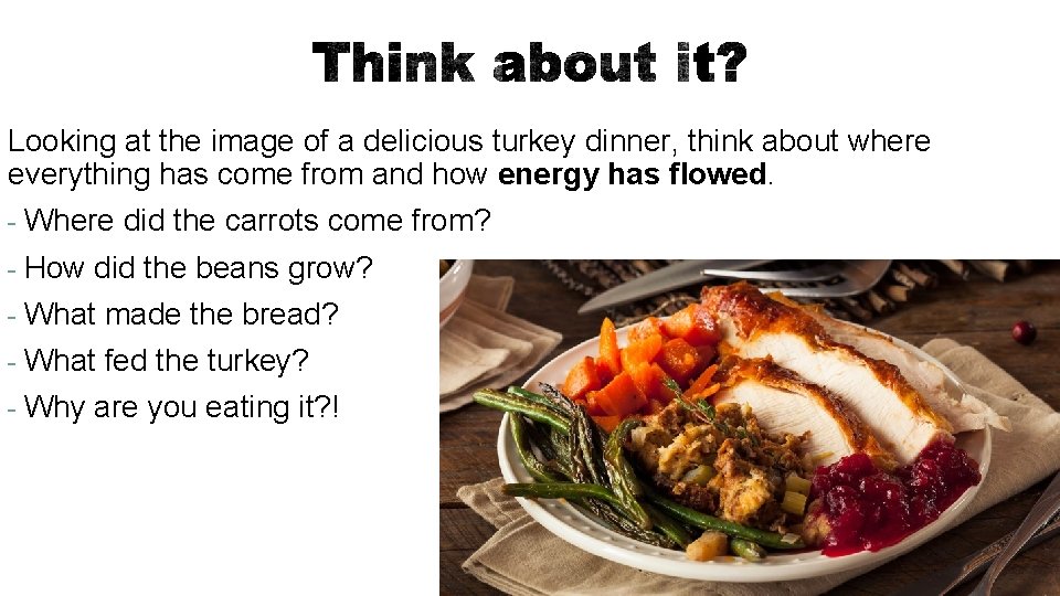 Looking at the image of a delicious turkey dinner, think about where everything has
