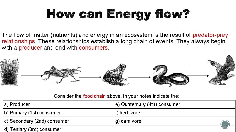 The flow of matter (nutrients) and energy in an ecosystem is the result of