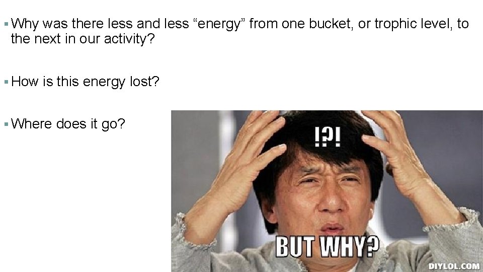 § Why was there less and less “energy” from one bucket, or trophic level,