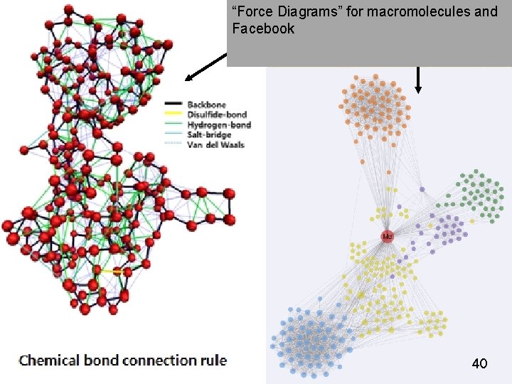 “Force Diagrams” for macromolecules and Facebook 40 