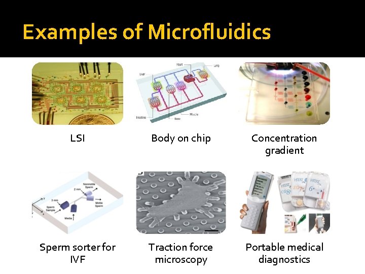 Examples of Microfluidics LSI Body on chip Concentration gradient Sperm sorter for IVF Traction