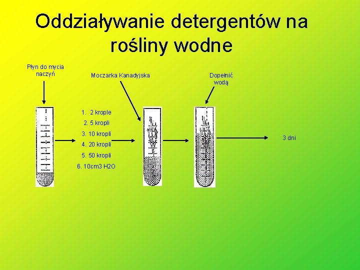 Oddziaływanie detergentów na rośliny wodne Płyn do mycia naczyń Moczarka Kanadyjska Dopełnić wodą 1.