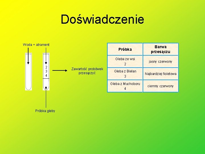 Doświadczenie Woda + atrament 2 3 4 Próbka gleby Zawartość probówek przesączyć Próbka Barwa