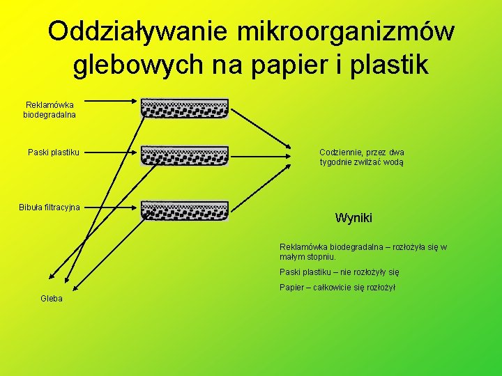 Oddziaływanie mikroorganizmów glebowych na papier i plastik Reklamówka biodegradalna Paski plastiku Bibuła filtracyjna Codziennie,