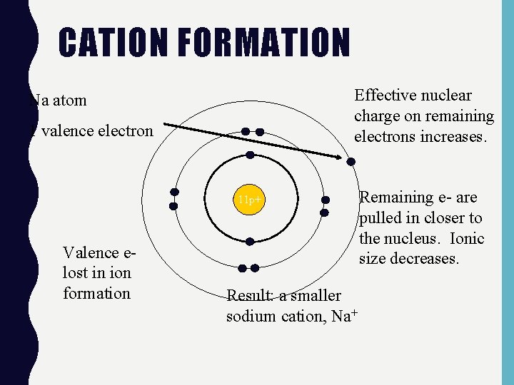 CATION FORMATION Effective nuclear charge on remaining electrons increases. Na atom 1 valence electron