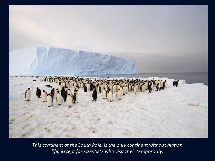 This continent at the South Pole, is the only continent without human life, except