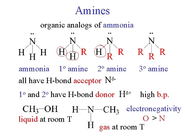 Amines organic analogs of ammonia 1 o amine 2 o amine all have H-bond