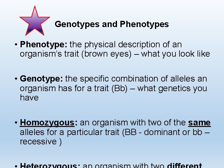 Genotypes and Phenotypes • Phenotype: the physical description of an organism’s trait (brown eyes)