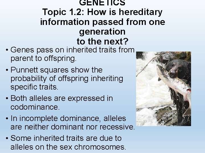 GENETICS Topic 1. 2: How is hereditary information passed from one generation to the
