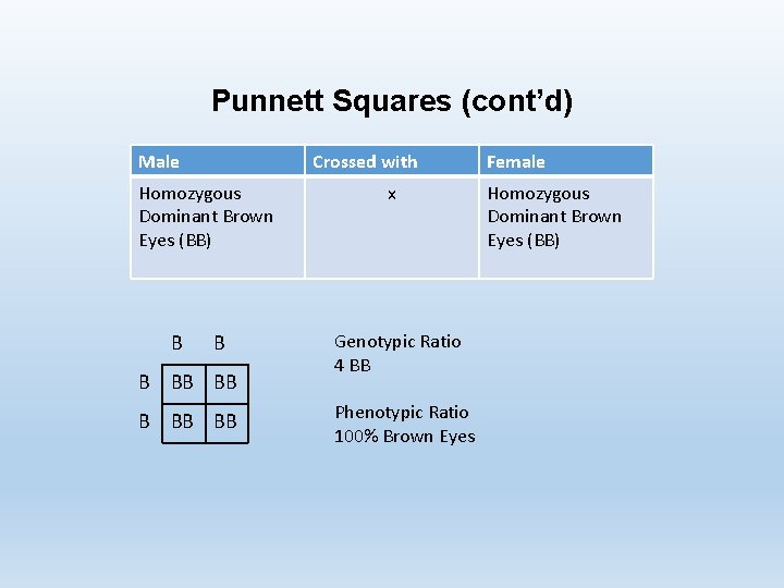 Punnett Squares (cont’d) Male Crossed with Homozygous Dominant Brown Eyes (BB) B BB BB