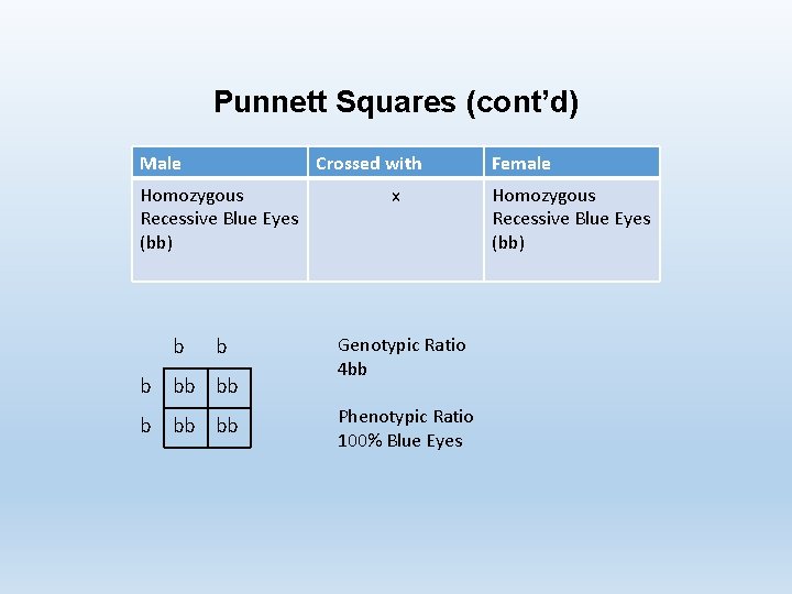 Punnett Squares (cont’d) Male Crossed with Homozygous Recessive Blue Eyes (bb) b bb bb