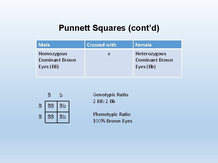 Punnett Squares (cont’d) Male Crossed with Homozygous Dominant Brown Eyes (BB) B b B
