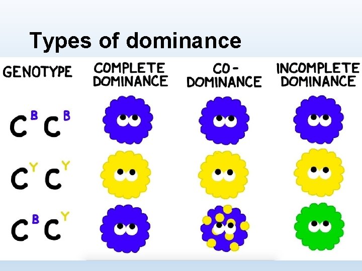 Types of dominance 