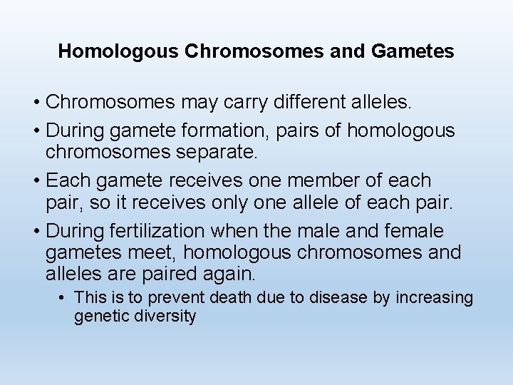 Homologous Chromosomes and Gametes • Chromosomes may carry different alleles. • During gamete formation,
