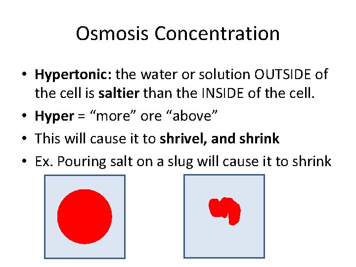 Osmosis Concentration • Hypertonic: the water or solution OUTSIDE of the cell is saltier