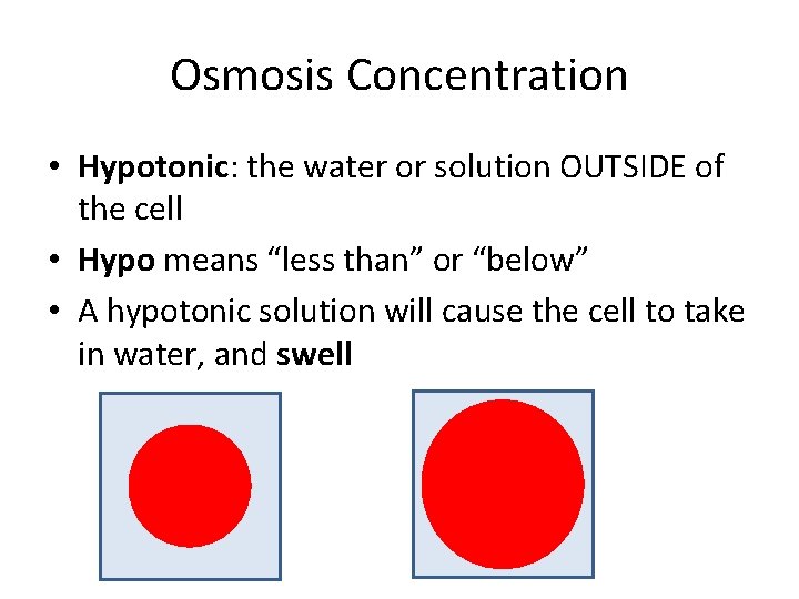 Osmosis Concentration • Hypotonic: the water or solution OUTSIDE of the cell • Hypo