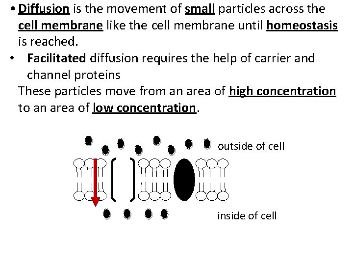  • Diffusion is the movement of small particles across the cell membrane like