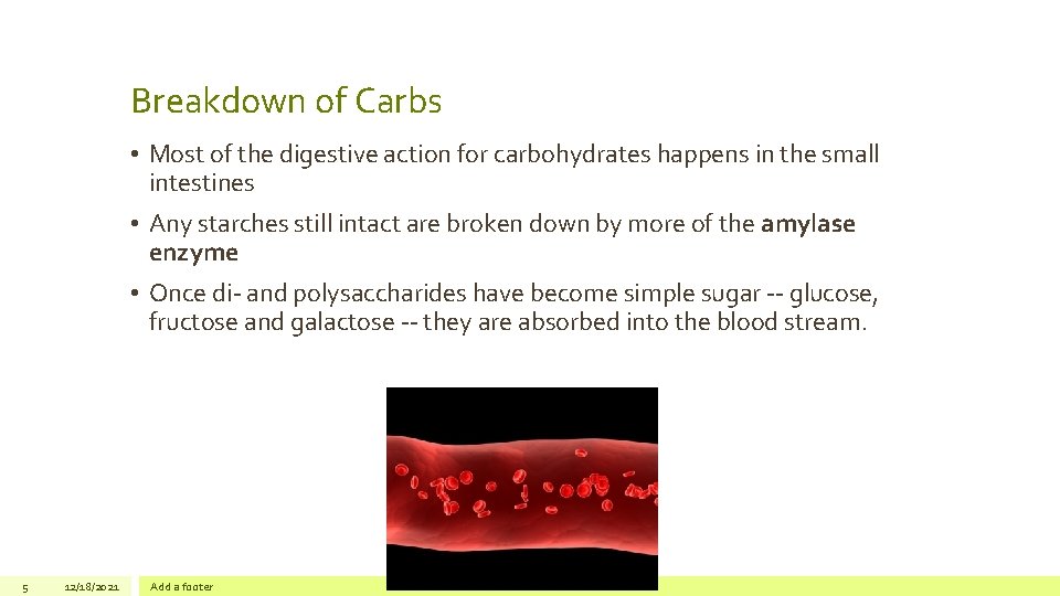 Breakdown of Carbs • Most of the digestive action for carbohydrates happens in the