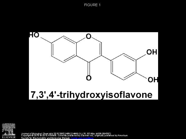 FIGURE 1 Journal of Biological Chemistry 2010 28521458 -21466 DOI: (10. 1074/jbc. M 109.