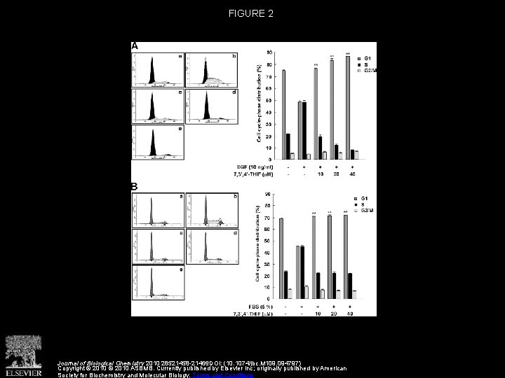 FIGURE 2 Journal of Biological Chemistry 2010 28521458 -21466 DOI: (10. 1074/jbc. M 109.