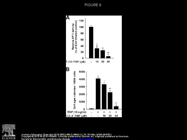 FIGURE 6 Journal of Biological Chemistry 2010 28521458 -21466 DOI: (10. 1074/jbc. M 109.