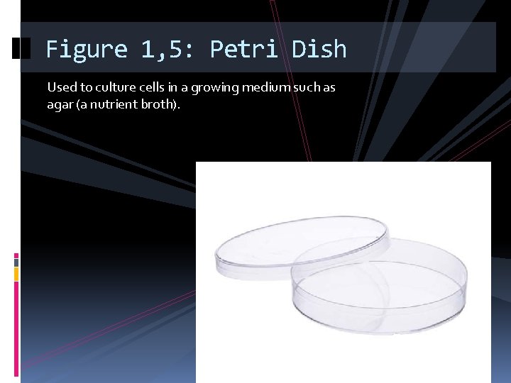 Figure 1, 5: Petri Dish Used to culture cells in a growing medium such
