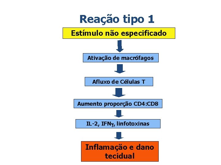 Reação tipo 1 Estímulo não especificado Ativação de macrófagos Afluxo de Células T Aumento