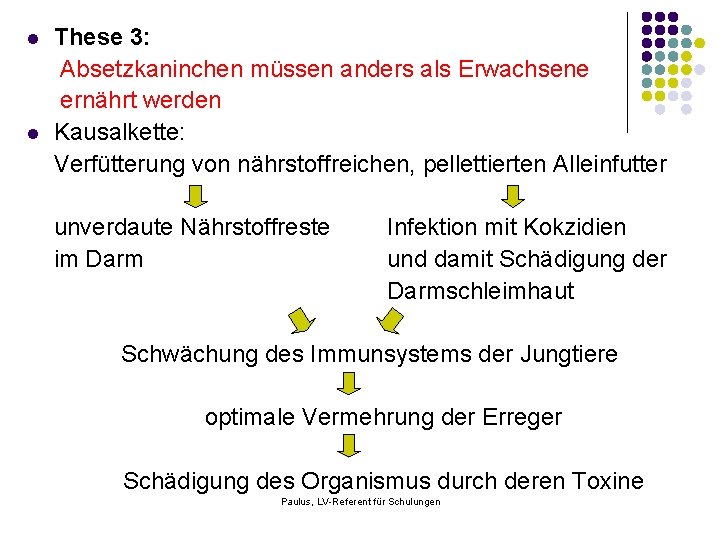 l l These 3: Absetzkaninchen müssen anders als Erwachsene ernährt werden Kausalkette: Verfütterung von