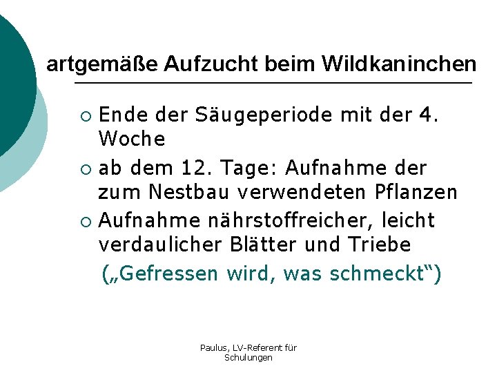 artgemäße Aufzucht beim Wildkaninchen Ende der Säugeperiode mit der 4. Woche ¡ ab dem