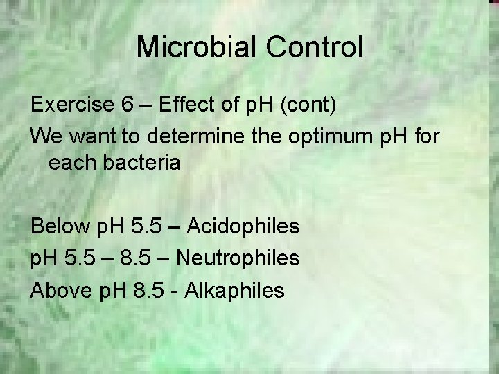 Microbial Control Exercise 6 – Effect of p. H (cont) We want to determine