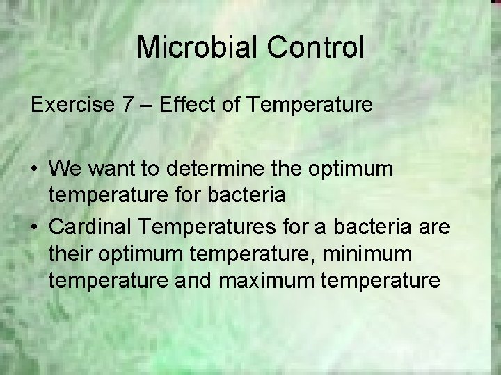 Microbial Control Exercise 7 – Effect of Temperature • We want to determine the