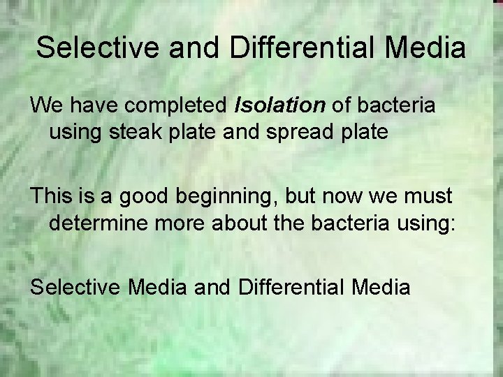 Selective and Differential Media We have completed Isolation of bacteria using steak plate and
