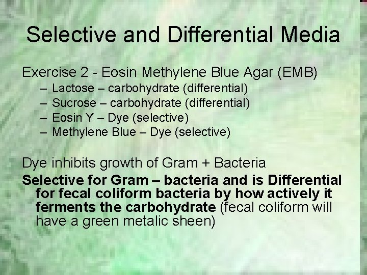 Selective and Differential Media Exercise 2 - Eosin Methylene Blue Agar (EMB) – –