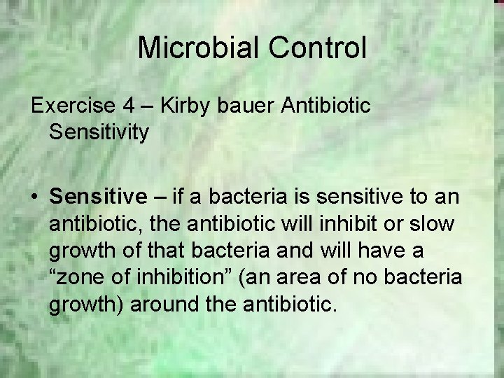 Microbial Control Exercise 4 – Kirby bauer Antibiotic Sensitivity • Sensitive – if a