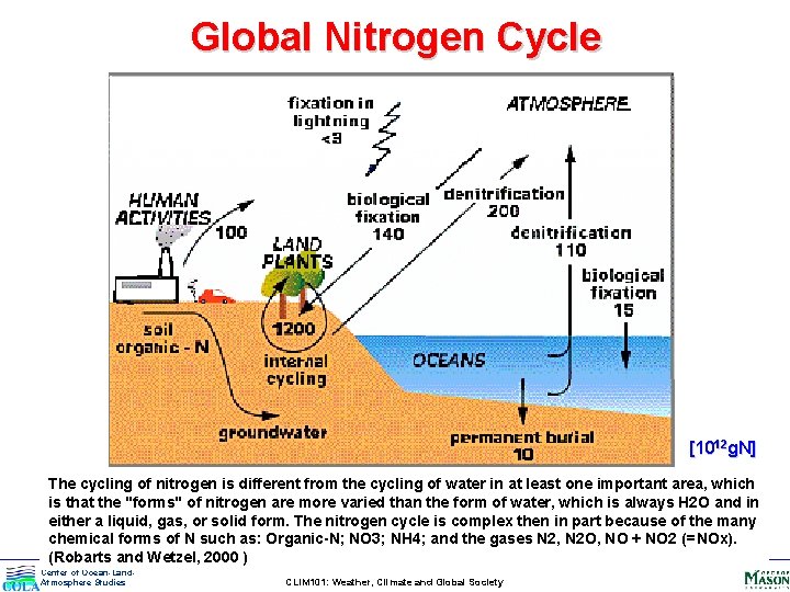 Global Nitrogen Cycle [1012 g. N] The cycling of nitrogen is different from the