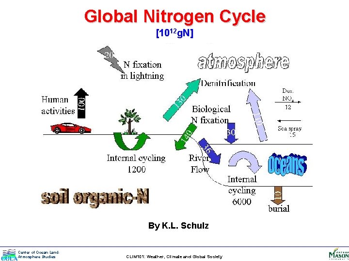 Global Nitrogen Cycle [1012 g. N] By K. L. Schulz Center of Ocean-Land. Atmosphere