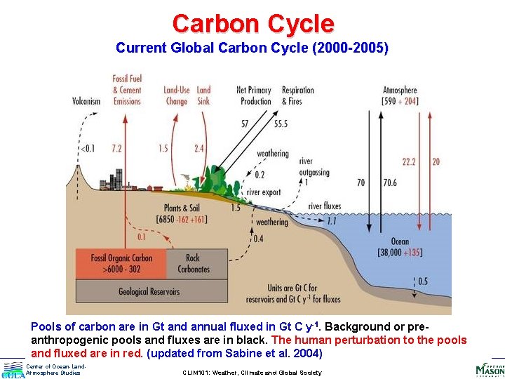 Carbon Cycle Current Global Carbon Cycle (2000 -2005) Pools of carbon are in Gt