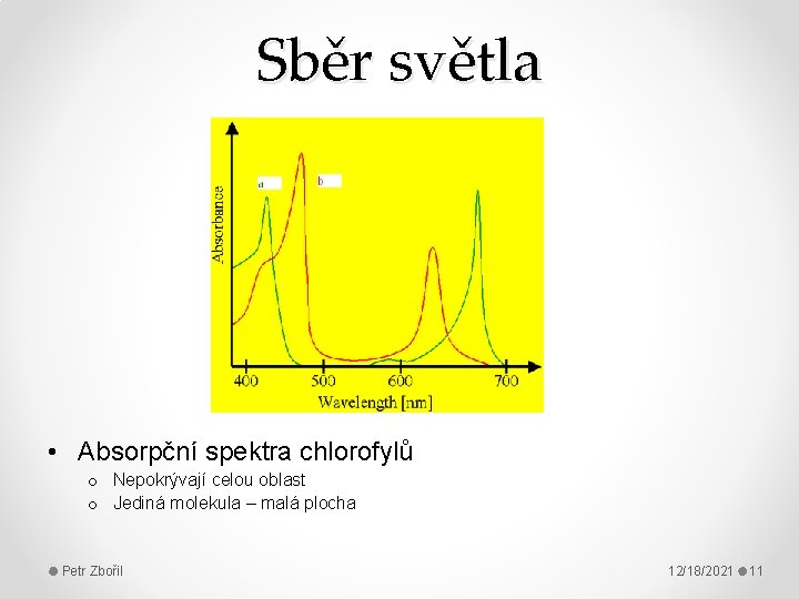 Sběr světla • Absorpční spektra chlorofylů o Nepokrývají celou oblast o Jediná molekula –