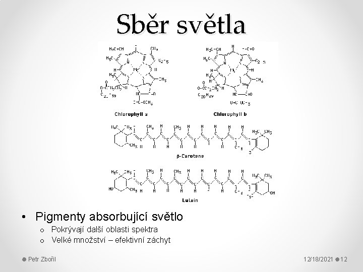 Sběr světla • Pigmenty absorbující světlo o Pokrývají další oblasti spektra o Velké množství