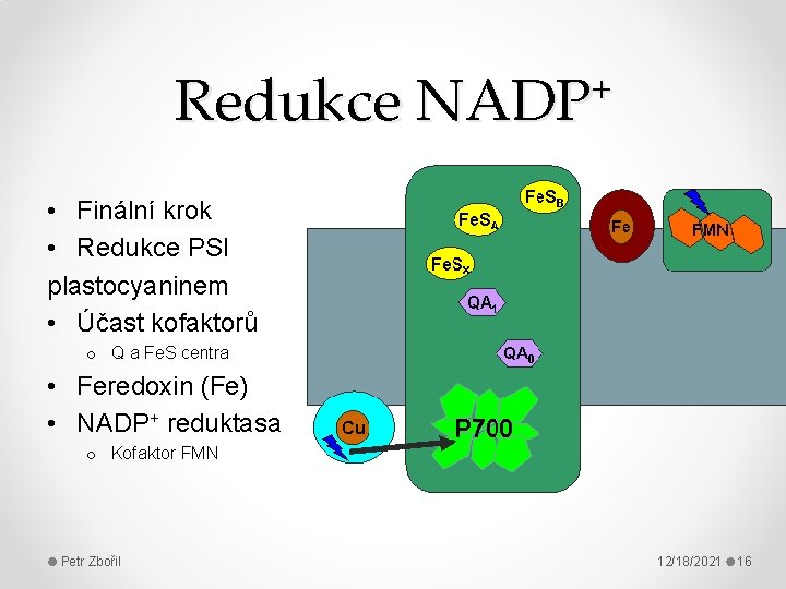 Redukce + NADP • Finální krok • Redukce PSI plastocyaninem • Účast kofaktorů o