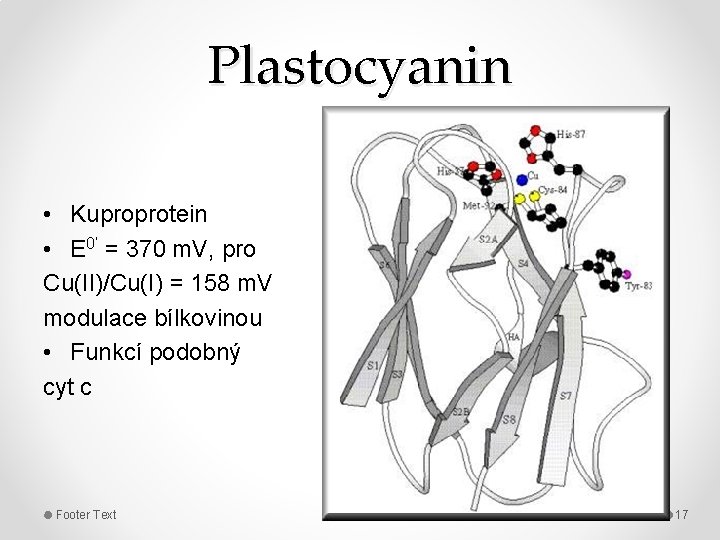 Plastocyanin • Kuproprotein • E 0‘ = 370 m. V, pro Cu(II)/Cu(I) = 158